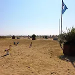 In 39757 Bibione